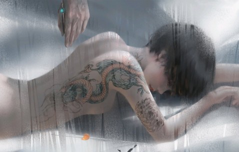 胎儿大脑发育的关键时期，科学认识与促进策略